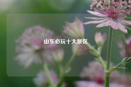 山东必玩十大景区