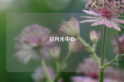 日月光中心