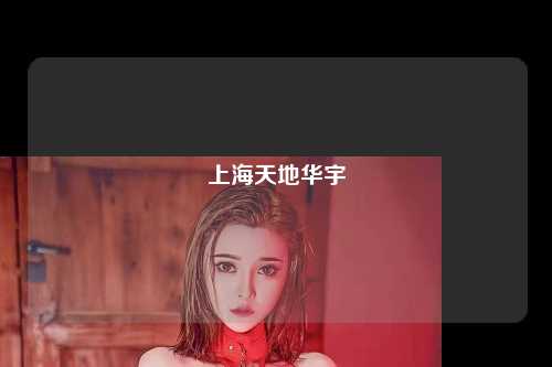 上海天地华宇
