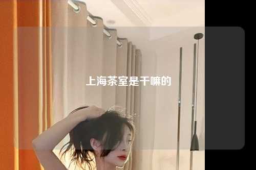 上海茶室是干嘛的