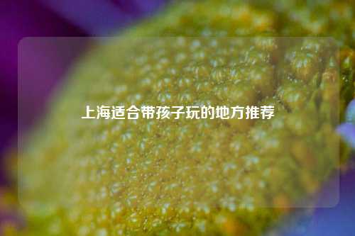 上海适合带孩子玩的地方推荐