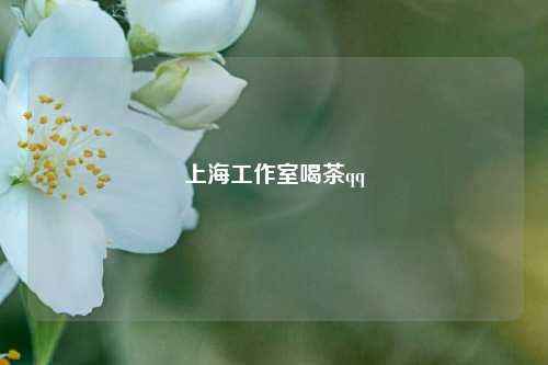 上海工作室喝茶qq