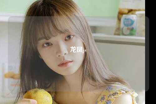 龙凤js
