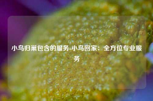小鸟归巢包含的服务-小鸟回家：全方位专业服务