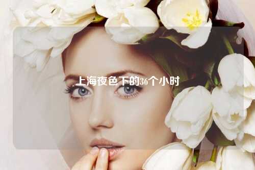 上海夜色下的36个小时