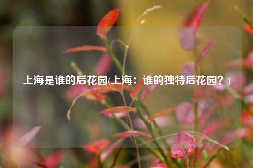 上海是谁的后花园(上海：谁的独特后花园？)