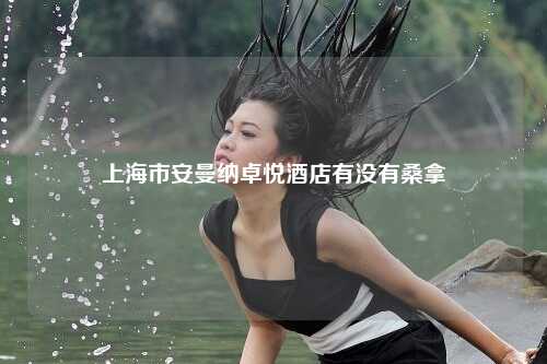 上海市安曼纳卓悦酒店有没有桑拿