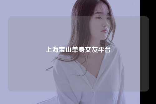 上海宝山单身交友平台