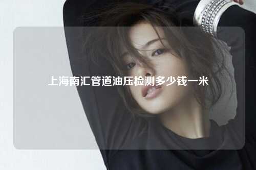 上海南汇管道油压检测多少钱一米