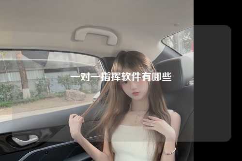 一对一指挥软件有哪些