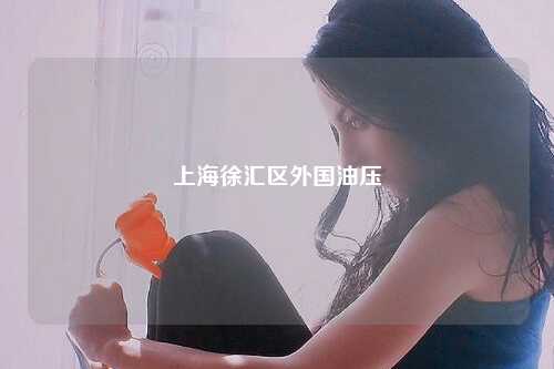 上海徐汇区外国油压