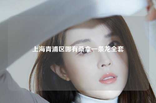 上海青浦区哪有桑拿一条龙全套