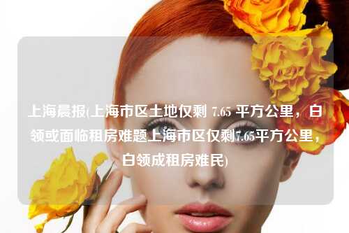 上海晨报(上海市区土地仅剩 7.65 平方公里,白领或面临租房难题上海市区仅剩7.65平方公里,白领成租房难民)